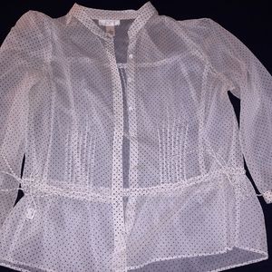Ann Taylor Loft Sheer Blouse